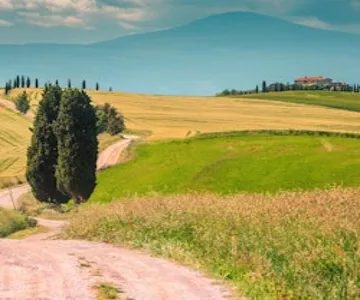 Chianti: Castle Tour